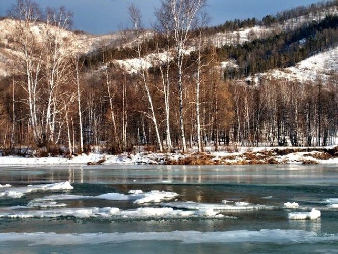 Весна в лесу, ранняя весна в лесу, половодье