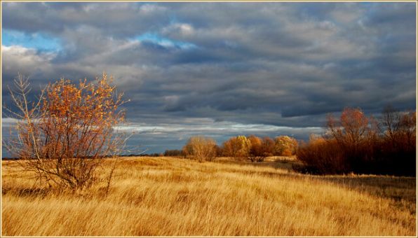 Осенний день, осень, поле