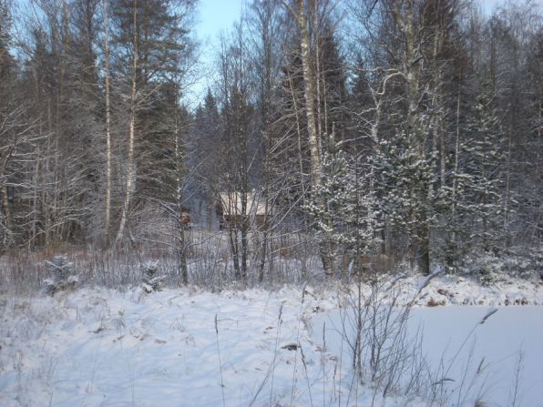 зима, снег, дом в лесу