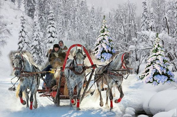 Тройка лошадей, Зима, лес и русская тройка лошадей