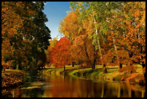 Осень, золотая осень, осенний лес, пейзаж осенний, природа осенняя