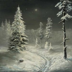 зима снег лес ночь