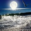 Море, луна, ночь