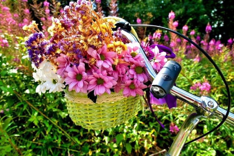Букет цветов и велосипед