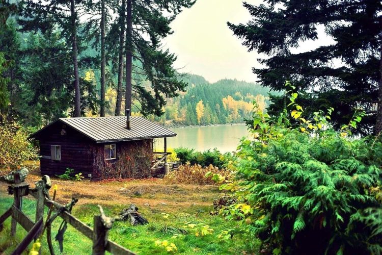 Домик в лесу на берегу озера, дом лесника