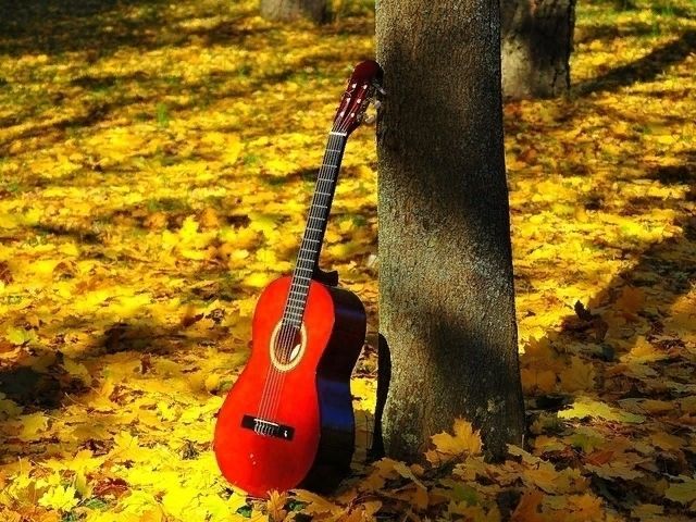 гитара в осеннем лесу, осень, музыка