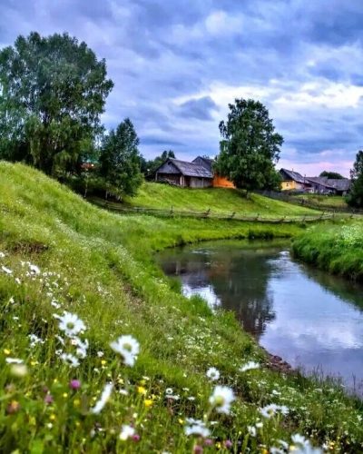 Красивая Природа, красивый пейзаж, река, деревня, полевые цветы
