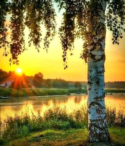 Красивая природа, пейзаж, река, закат или восход солнца, счастье