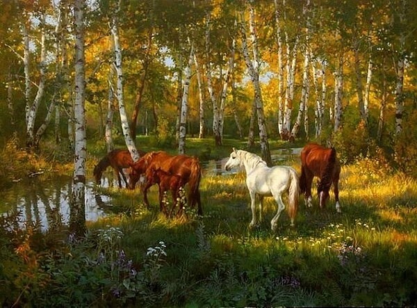 природа, березки, кони