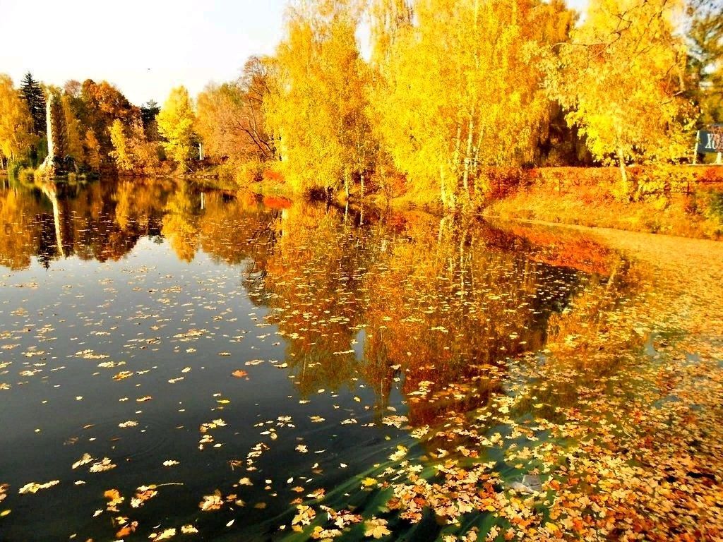 Красивая золотая осень, осенний пейзаж