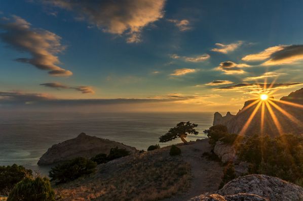 ЗАКАТ в Крыму, закат на море, сосна на закате