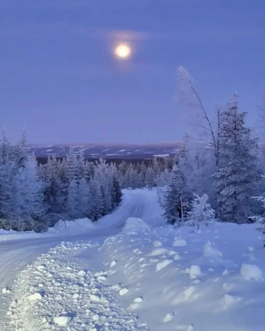 Луна, зима, ночь, снег