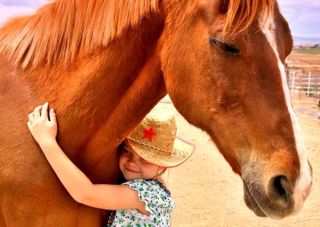 Маленькая хозяйка (Девочка) обнимает свою лошадь