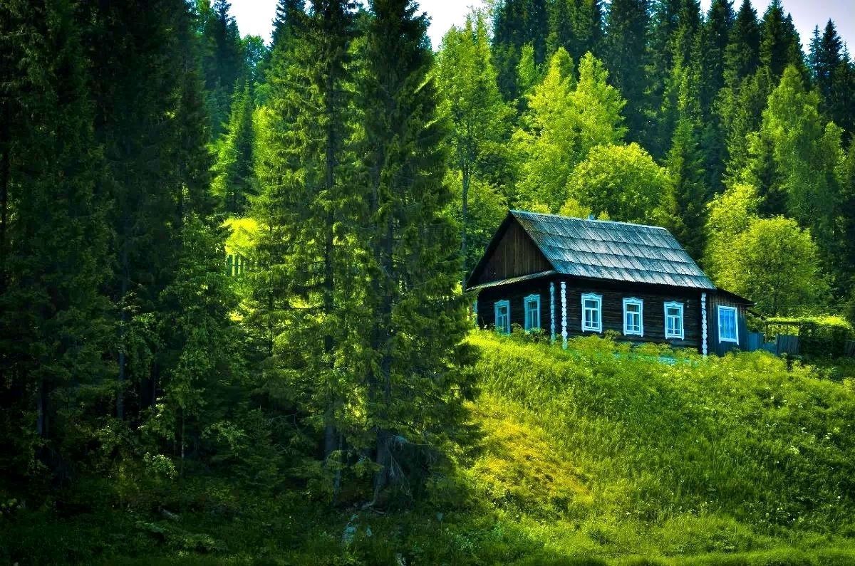 Одинокий домик в лес