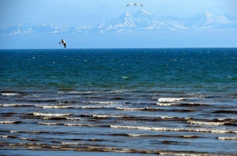 Охотское море, Камчатка, Сахалин