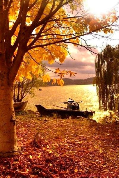 Осень красивая, лодка, пруд или река осенью