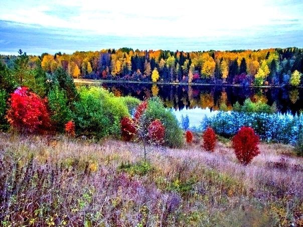 Осень, Осеннее озеро, лес осенью