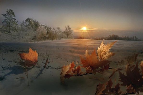 Осенний пейзаж, осенний рассвет