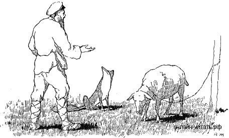 овца и крестьянин басня
