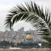 Палестина, пальмовая ветка