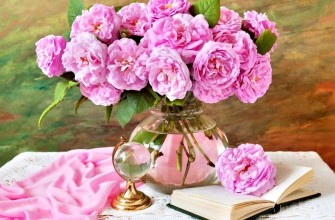 пионы книга цветы