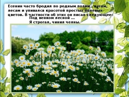 под венком
