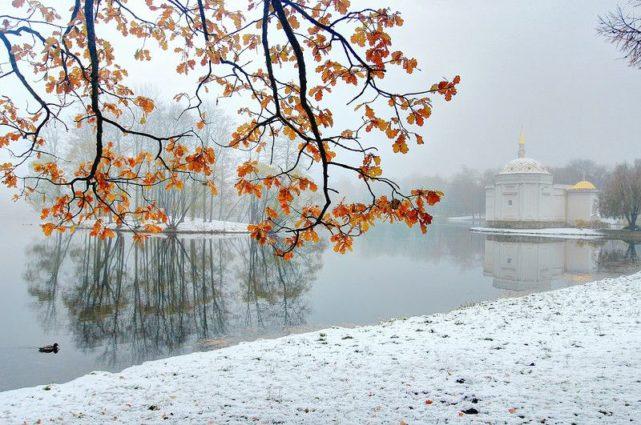 Поздняя осень, ранняя зима