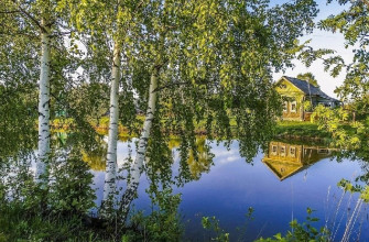 Родина, речка, березы