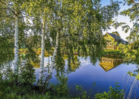 Родина, речка, березы