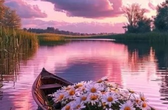 ромашки лодка цветы