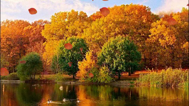 сентябрь, золотая осень, река, пруд, озеро осенью, осенний пейзаж на реке