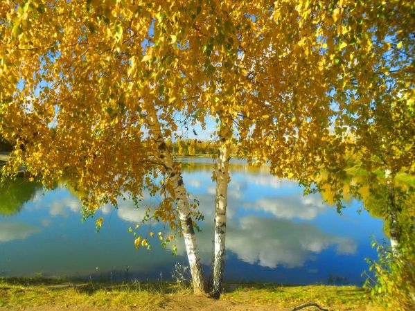сентябрь, осень, осенний пейзаж, березы осенью, река, золотая осень