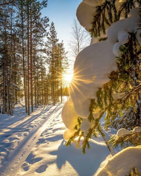 Зима в лесу, Зимний сказочный день! ...