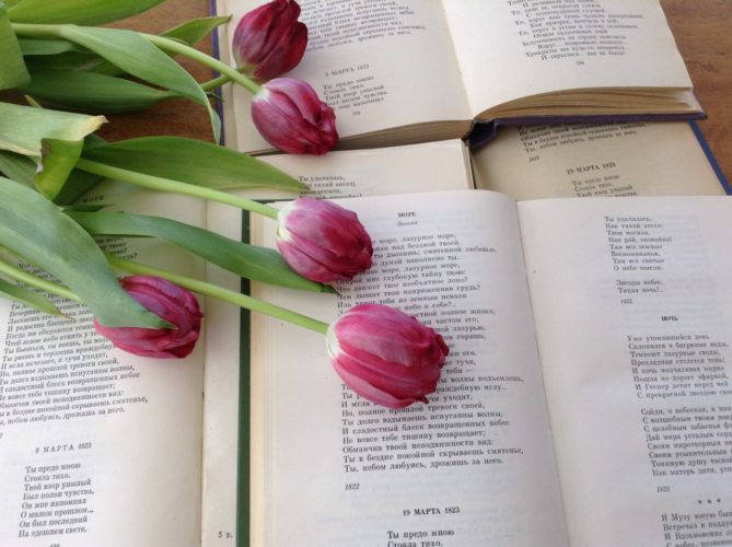 Стихи и тюльпаны