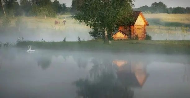туман, река, лебеди, закат, природа