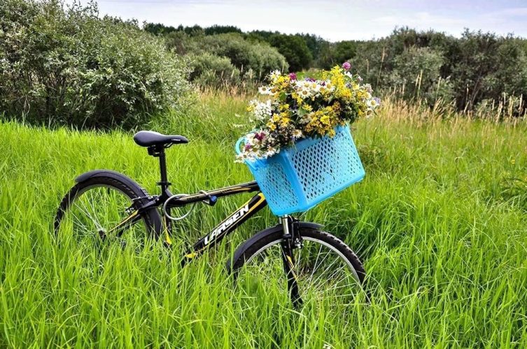 Велосипед с цветами, букет