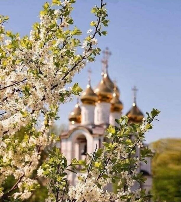 Весна, Купола Церкви, вишня цветет