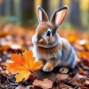 зайчик кролик осень лес