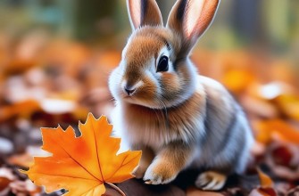 зайчик кролик осень лес