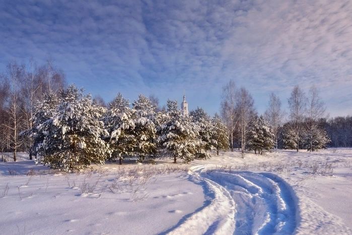 Зима, лес, дорога, снег