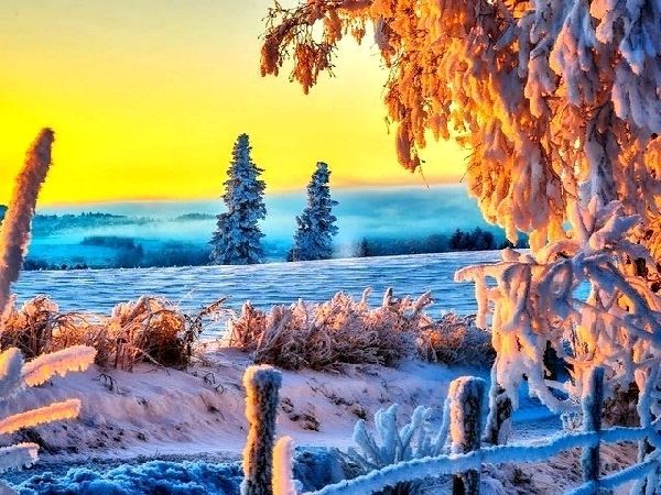 Зима, Зимний пейзаж, зимняя природа в лесу