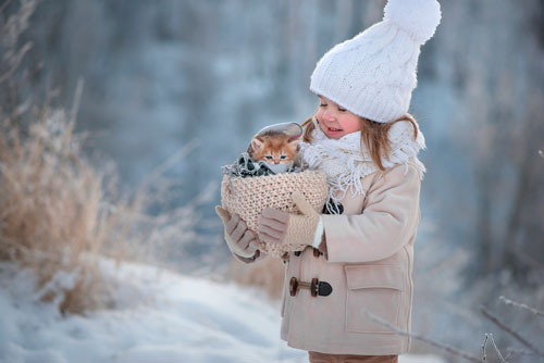 Стихи русских поэтов о зиме для детей