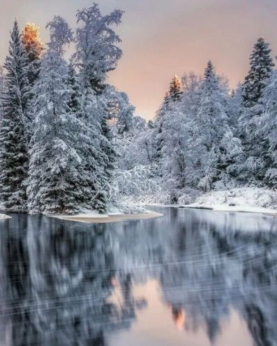 Зимнее безмолвие ❄