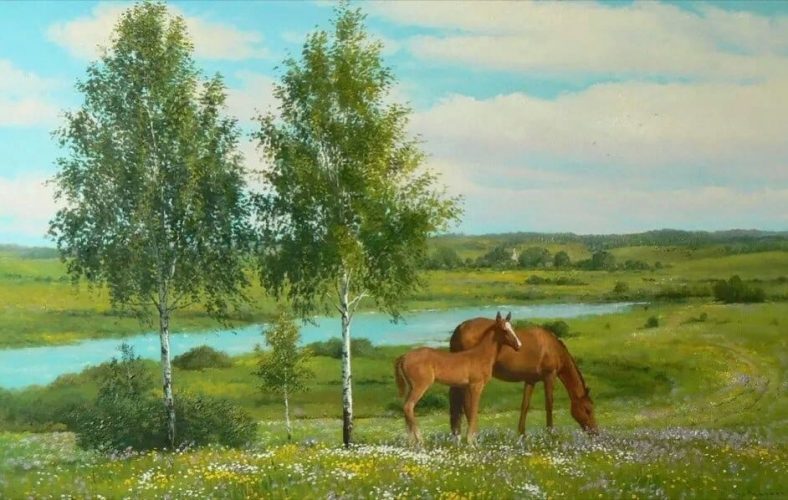 Россия, Родина, природа, лошадки