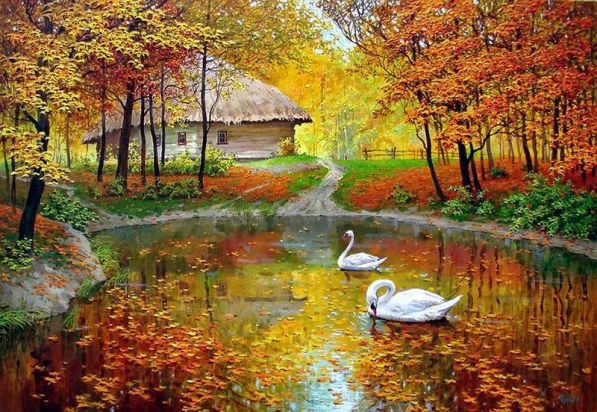 ОсенОсень в деревне, белые лебеди на пруду, осенний пруд