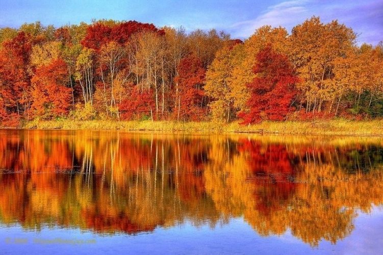 Золотая Осень, листопад, природа, пейзаж осенний