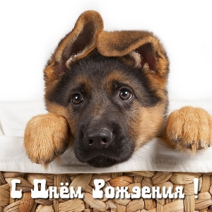 С Днем Рождения