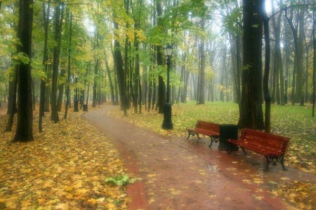 Красивая ОСЕНЬ, золотая осень, осенний парк