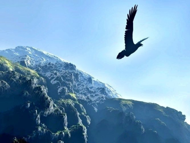 Орел птица, горы