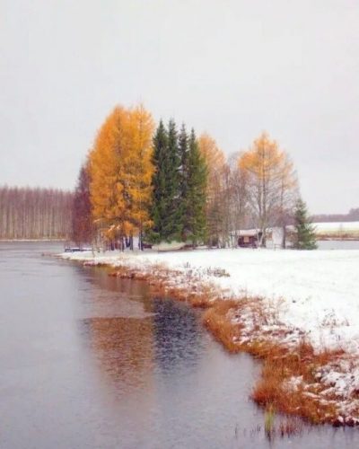 первый снег, начало зимы